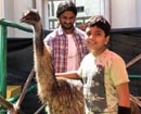 Greenwood High-Bannerghatta inspires children to be nature friendly, binds them up with animals